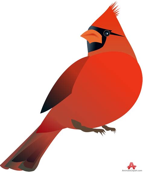 northern cardinal bird png #1429650
