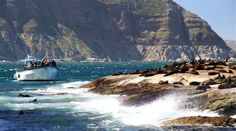 The Cape Peninsula Cape Town Travel Blog Explorer Safari