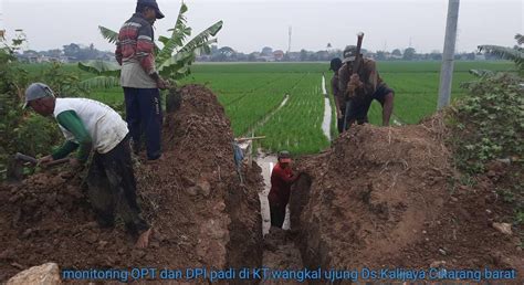 Kekeringan Lahan Pemkab Bekasi Bangun Pompa Normalisasi Air Sungai Ke