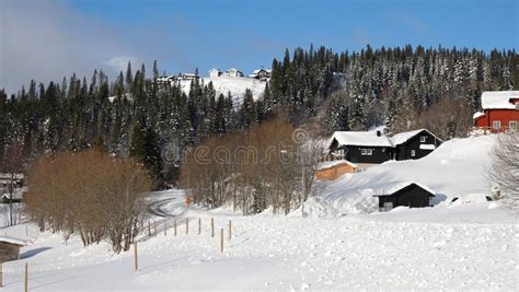 Are Bjornen In Winter In Jamtland In Sweden Stock Image Image Of View