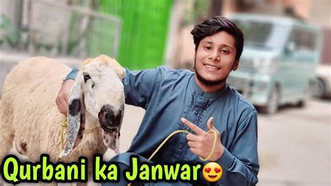 Qurbani Ka Janwar Le Liya Bohat Mushkil Se Milla 3rd Day Of Eid Ul