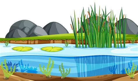 A Nature Pond Landscape 605933 Vector Art At Vecteezy