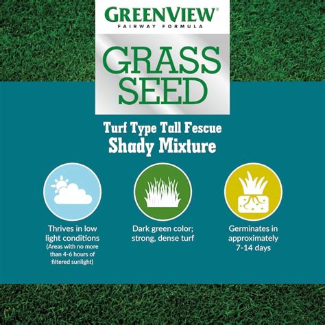 Greenview Fairway Formula Turf Type Tall Fescue Shady 3 Lb Mixture Grass Seed In The Grass Seed