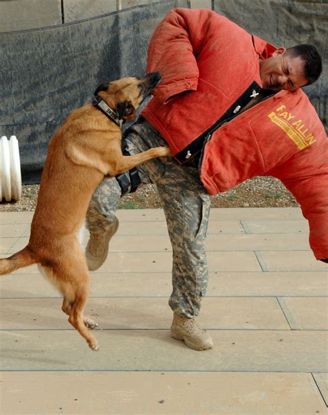 DVIDS - Images - Activities at Balad Air Base, Iraq [Image 6 of 9]