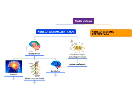 Nerbio Sistema Mind Map