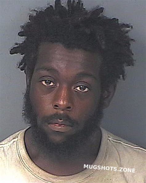 BROWN MARQUIS RENARD 11 20 2023 Hernando County Mugshots Zone