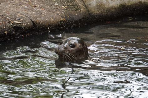 Zu Besuch Im Tierpark Nordhorn Lottes Erste Tage Im Neuen Zuhause