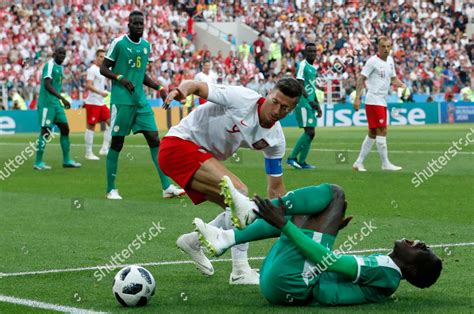 Polands Robert Lewandowski Left Challenges Ball Editorial Stock Photo