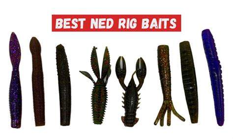 Best Ned Rig Baits Colors