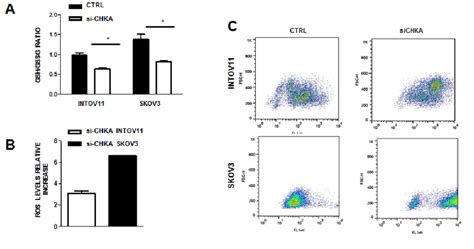 CHKA Silencing Regulates GSH Content And ROS Activation A Assessment