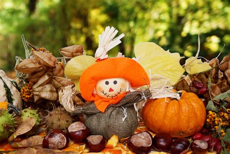 Vogelscheuche Herbst Kürbis Kastanien lizenzfreie Bilder