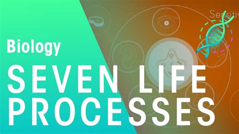 Diagram Of Seven Life Processes Of Living Things Life Proces