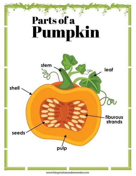 Printable Pumpkin Activities Things To Share Remember