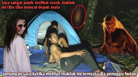 Camping Horor Kejantungan Saya Melihat Sosok Makluk Ini Ternyata Tempat