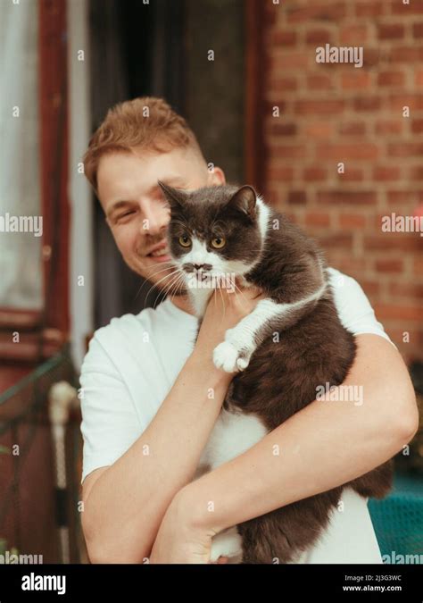 Man Holding Cat In Hands British Gray Cat Man With Cat Smiling Rain