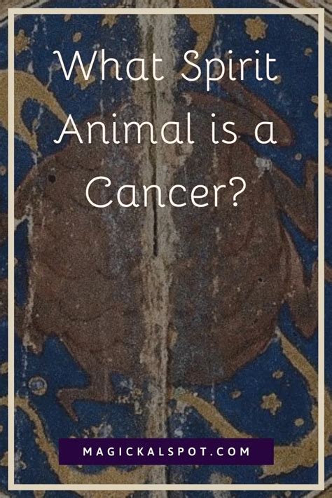 +15 What Is A Cancer Spirit Animal Ideas