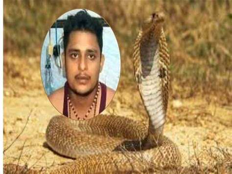 Fatehpur Viral 7 Time Snake Bite In 40 Days Vikas Dube Truth Came Out