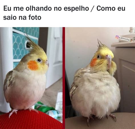 Eu Me Olhando No Espelho Como Eu Saio Na Foto Memes