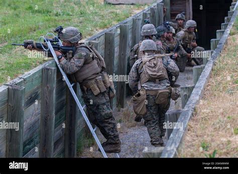 U S Marines With 2d Light Armored Reconnaissance Battalion 2d Marine