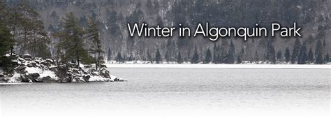 Algonquin Provincial Park | Ontario, Canada | The Friends of Algonquin Park