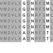 Protein Sequence Of Tgfbi In Diverse Species The Alignment Of The