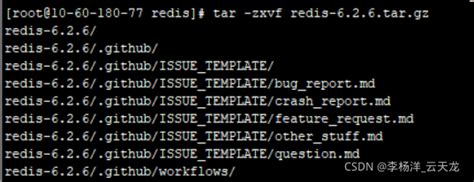 01 Redis在linux环境下的在线离线安装和启动龙芯离线安装redis Csdn博客