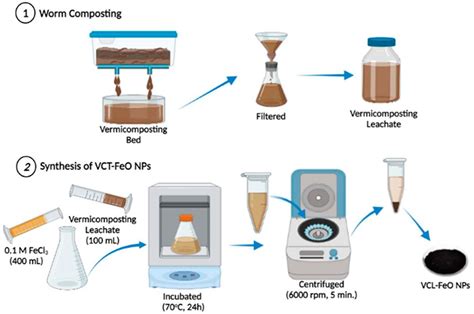 Frontiers Iron Oxide Nanoparticles Synthesis From Vermicomposting