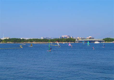 海の公園公式サイト｜公益財団法人 横浜市緑の協会