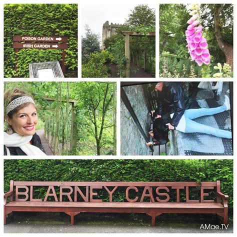 Kissing The Blarney Stone at Blarney Castle Ireland
