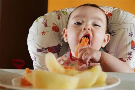 Entenda O Que E Como Funciona O Baby Led Weaning Portf Lio Carolina