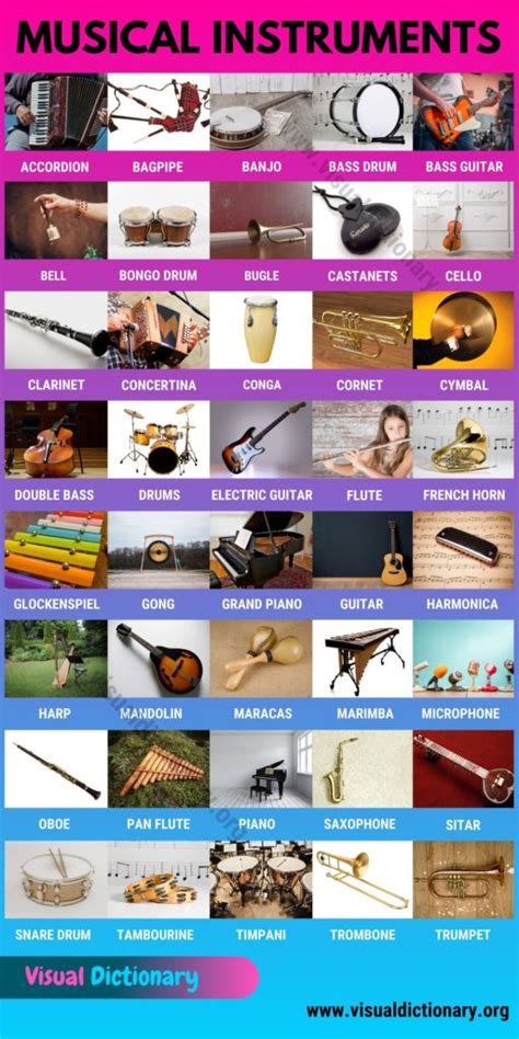 Musical Instruments List Of 50 Popular Musical Instruments Visual