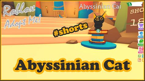 New Pet Abyssinian Cat In Adopt Me Desert Shop Shorts Youtube