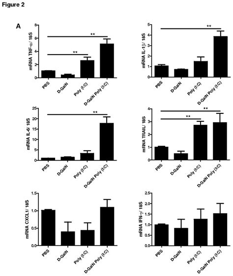 Cytokine Expression Of Tnf α Il 1β Il 6 Trail Cxcl1 And Ifn γ In