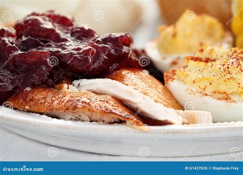 Thanksgiving Turkey With Cranberry Sauce Stock Image Image Of Fruit Chicken 61427635