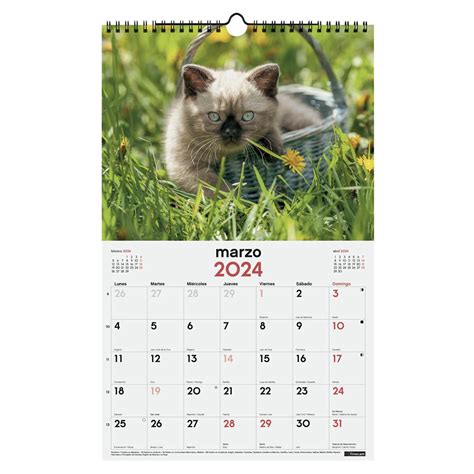 Calendario Pared A O Im Genes X X Gatitos Finocam