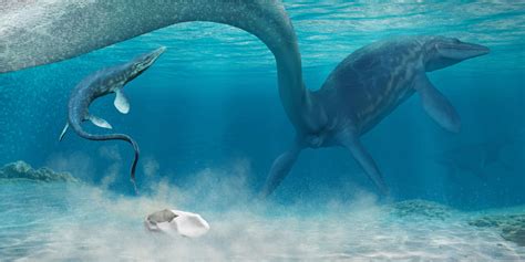 Scientists Have Discovered A Huge New Species Of Mosasaur World News