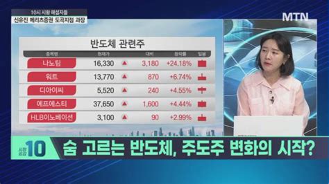 10시 시황 해설자들 해설자들 엔비디아 쇼크 다음은 손절가 없는 음식료·자율주행주