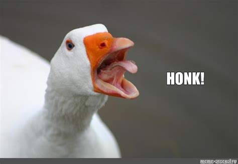 Meme: "HONK!" - All Templates - Meme-arsenal.com