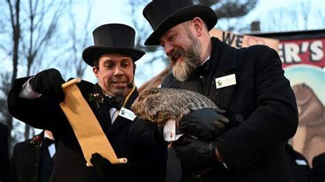 Punxsutawney Phil's Age, Career, Predictions, And Latest News