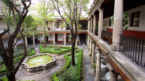 Celebra el Día Internacional del Libro en el Museo Franz Meyer