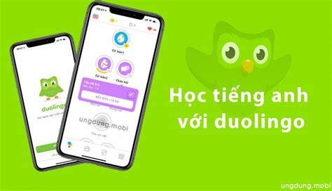 Duolingo H C Ti Ng Anh Mi N Ph