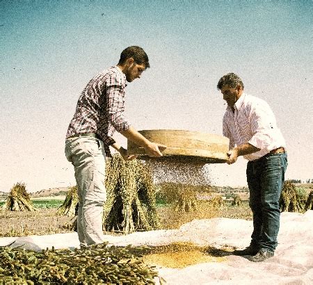 Sesamo Di Ispica Un Tesoro Da Preservare La Cucina Italiana