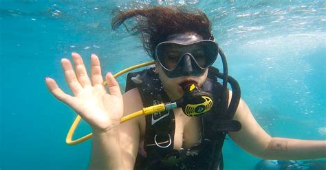 Honolulu Beginner Scuba Diving Tour With Free Videos Getyourguide