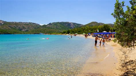 Le Saline Beach In Olbia Expedia