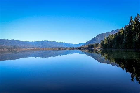 Explore Lake Quinault And The Quinault Rain Forest