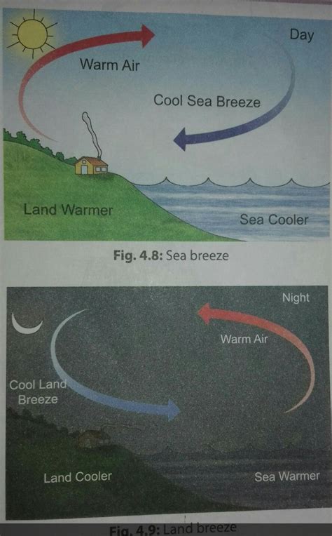 Land Breeze Definition Diagram Facts Britannica 40 Off