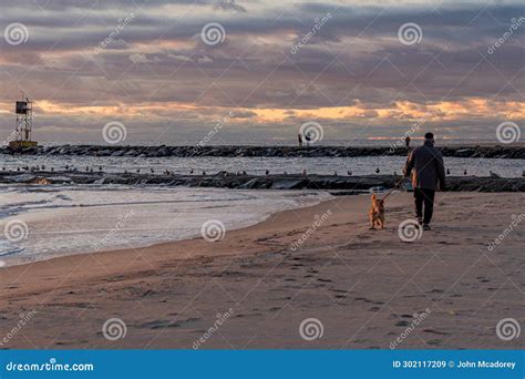 A Man Walking His Dog Along The Beach At Sunrise Editorial Stock Image