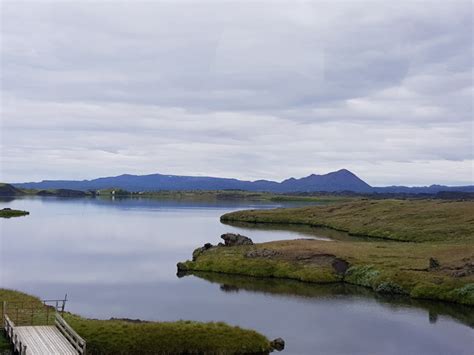 Akureyri Island Iceland Goðafoss Myvatn Wanderung Mücken islandfieber