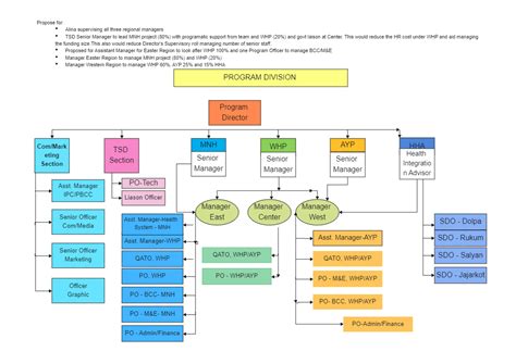 Program Department Org Chart Organizational Chart Design Regional