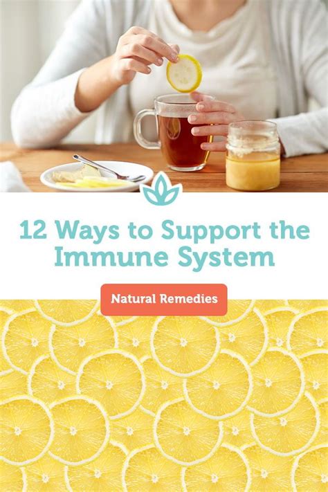 12 Ways To Support Your Immune System Naturally Immune System Immune Health Immunity